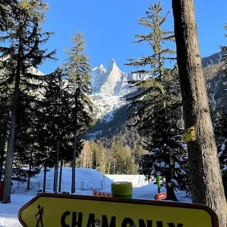 Chic A Chamonix, Chalet Ski/golf, Quartier Les Bois Domek alpejski Chamonix